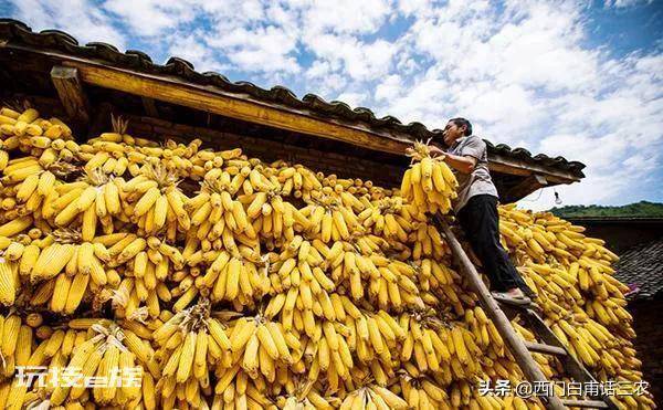 中国粮食储备够吃几年时间(我国目前的存粮能支撑多久)-图片2